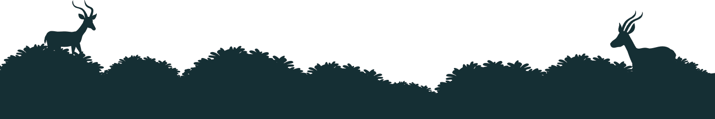 footer-bg