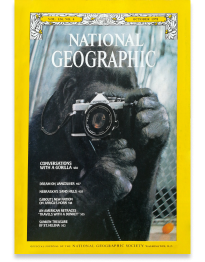 the-gorilla-with-a-camera