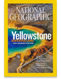 the-hot-spring-of-yellowstone